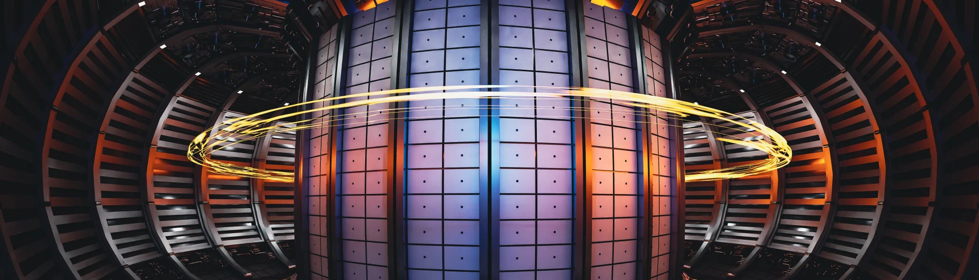 Visualisation the inside of a fusion reactor