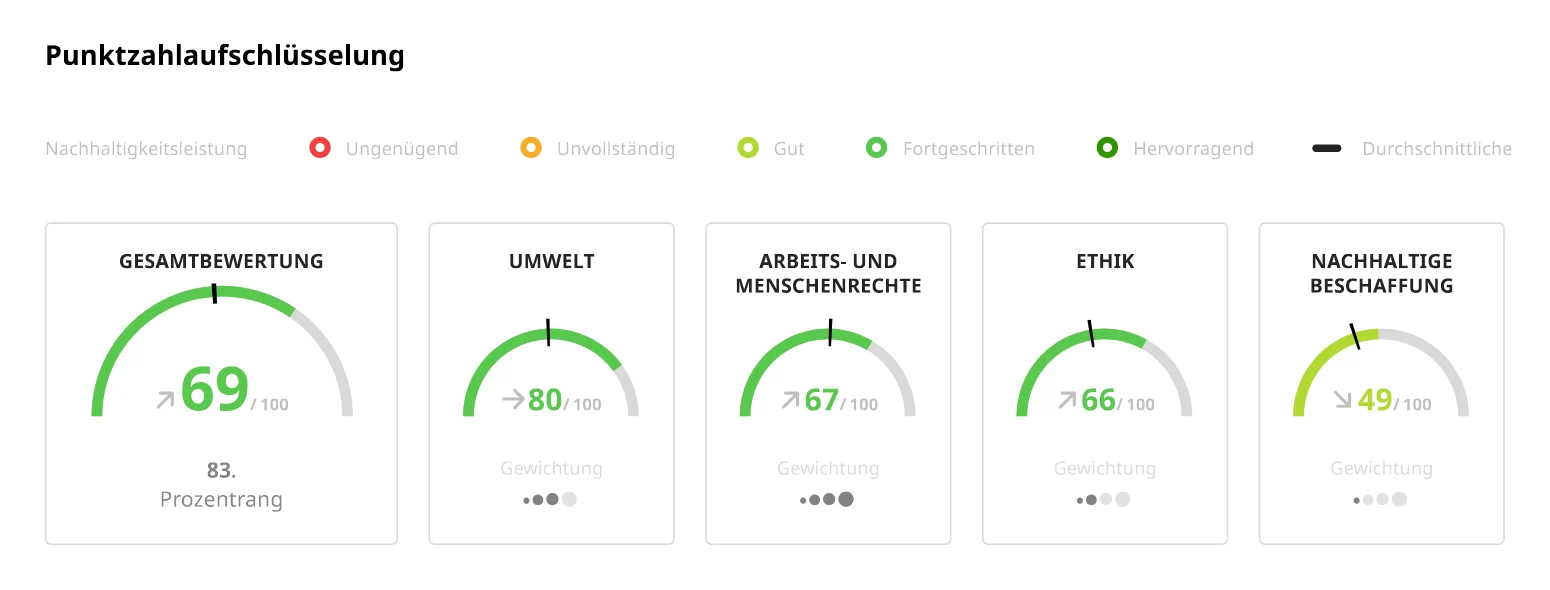 Scorecard Bayka EcoVadis 2025 DE